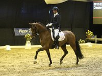 Expression 201113_2177